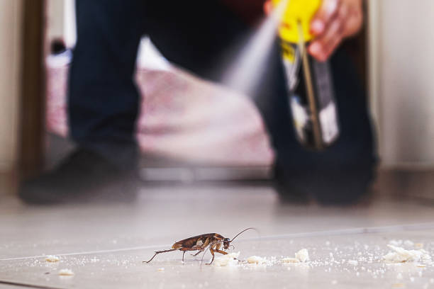 Best Best Pest Control Near Me  in Coral Springs, FL