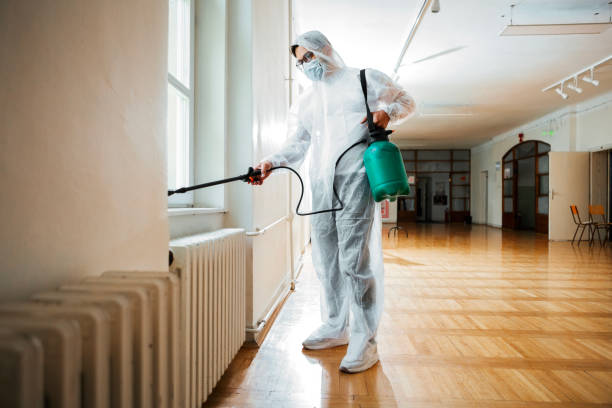 Reliable Coral Springs, FL Pest Control Solutions